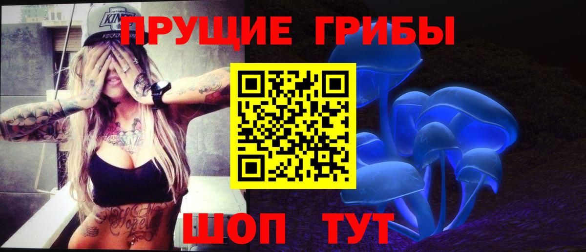 Галлюциногенные грибы ЛСД  Псилоцибиновые грибы ЛСД  Миллерово  Вход с VPN 